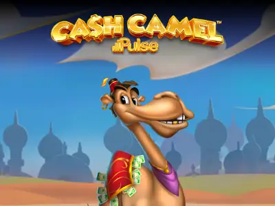 Cash Camel